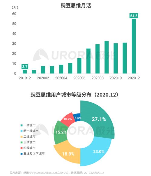 互联网数据服务新蓝海 2020年Q4移动互联网行业数据报告的启示